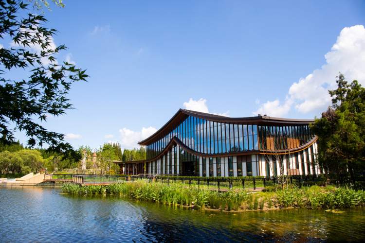 花博南园:继续维持花博会期间的靓丽容颜