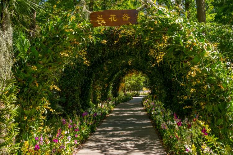 花博南园:继续维持花博会期间的靓丽容颜