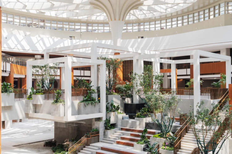 室内亲水瀑布5300平方米的植物园室内的绿植梯田会呼吸的太阳宫9月将