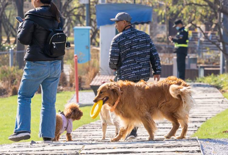 了四年世博文化公园北区今天开放看静谧森林游世博花园后滩滨江旁遛狗