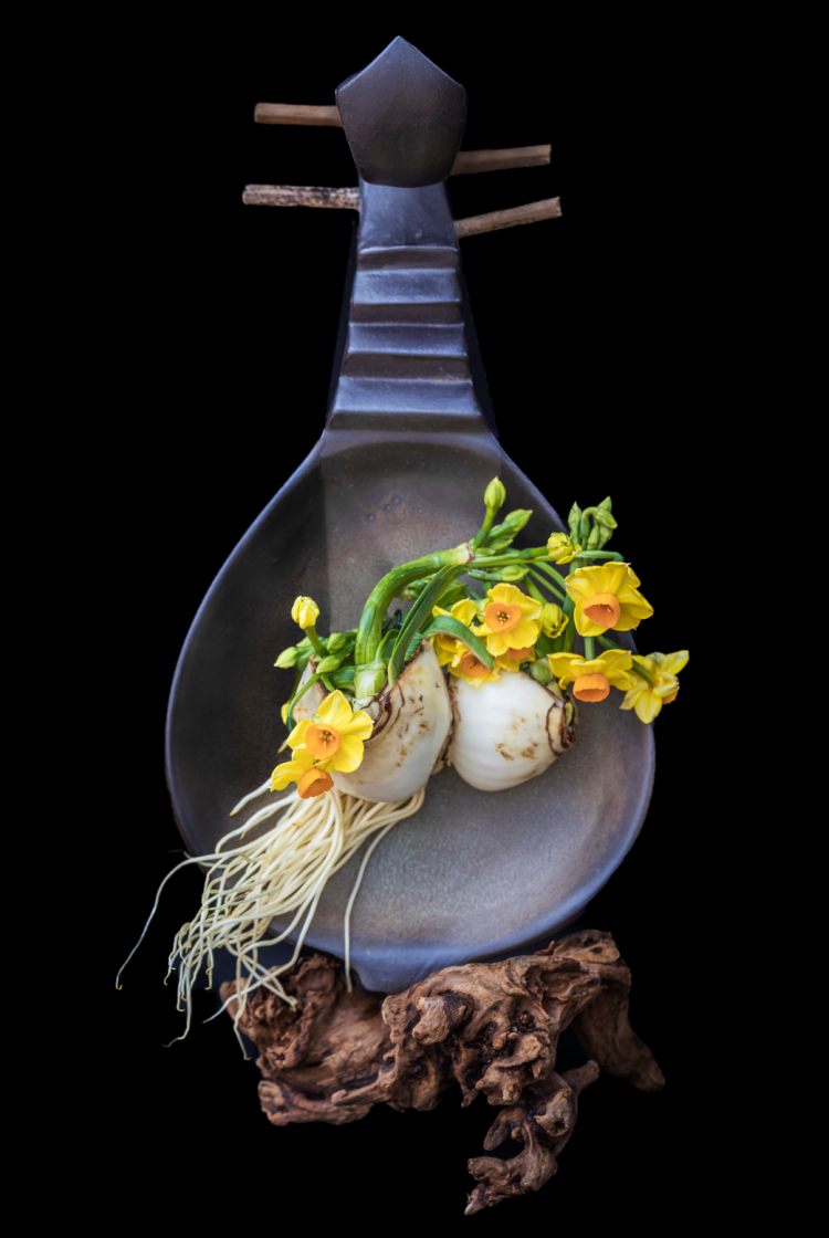 大师雕刻水仙什么造型?上海植物园和共青森林公园这两个花展不容错过