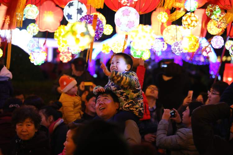 赏花灯,游园,感受江南风情