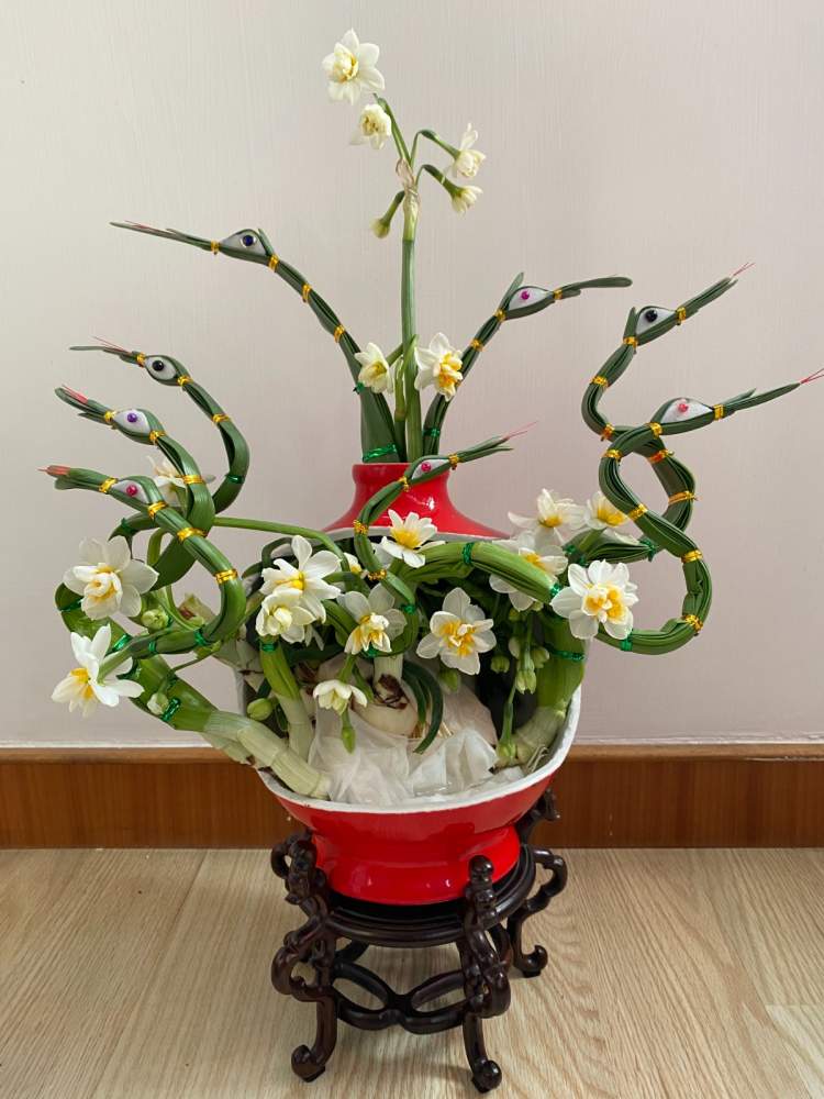 漳州水仙雕刻后可凹出更多造型