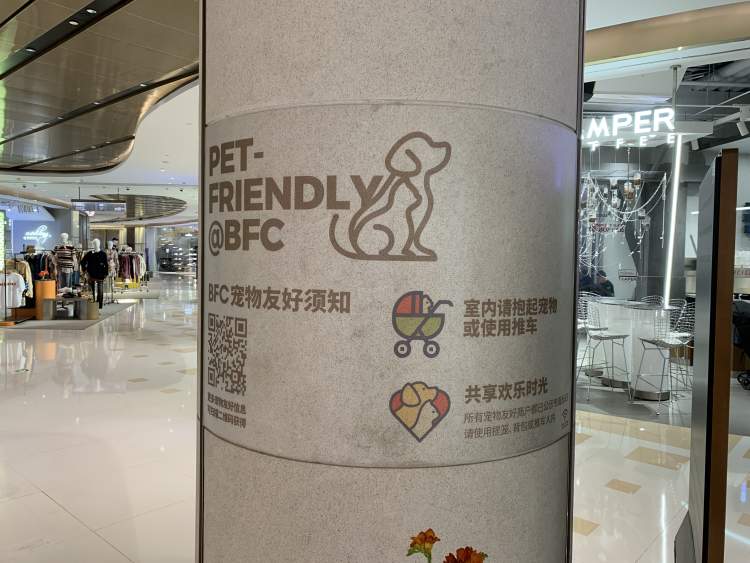 上海宠物猫专卖店_宠物店给猫配种吗？_上海宠物店洗猫多少钱