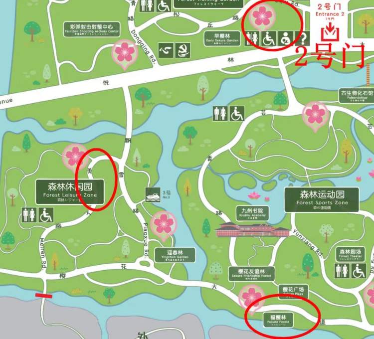 顾村公园公布首期花开指数,辰山植物园开启慢直播,松江两公园闭园