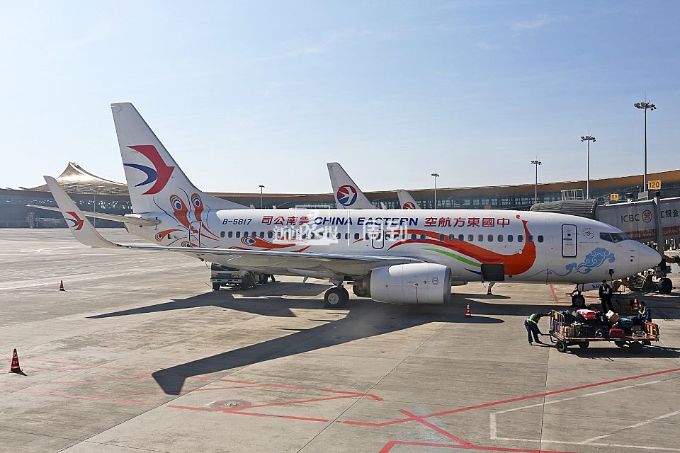 自737-300都退役后,就以737-700和737-800为主,分别有36架和40架