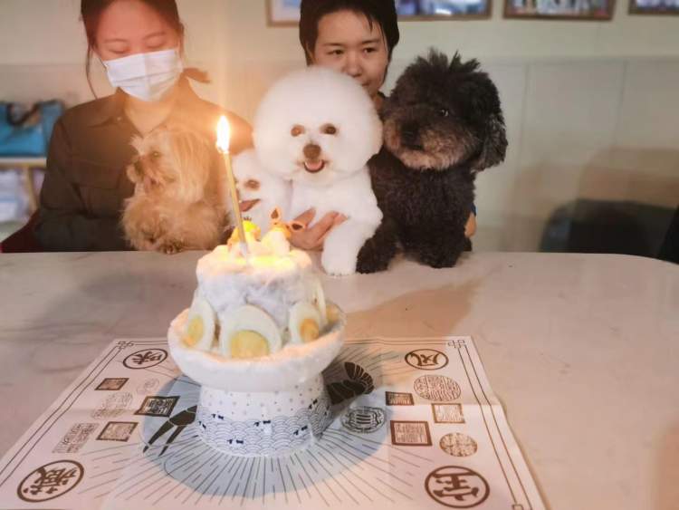 宠物店店主在车上睡了俩月后被拦在花桥卡口,那些回不去、出不来的沪昆通勤人……