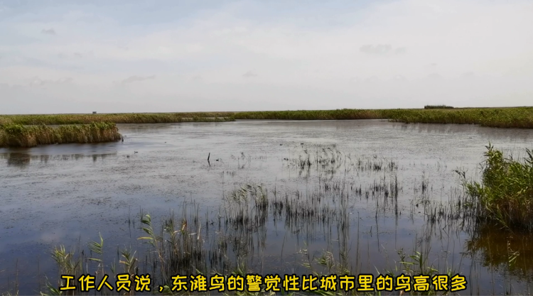 新闻晨报