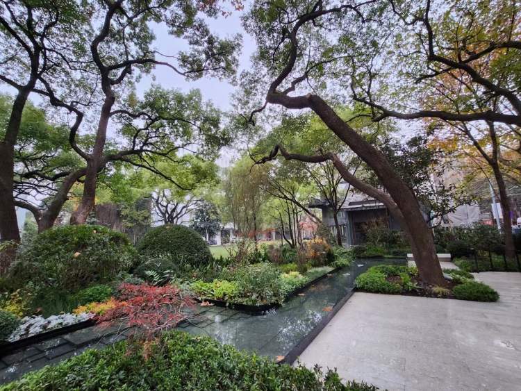 新闻晨报