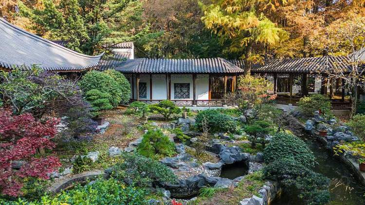 节后首个花展来了百余个品种春兰绽放三个公园展示王者之香