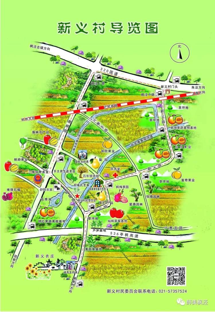 枫泾镇丨深化乡村振兴战略,新义村村庄规划出炉啦!