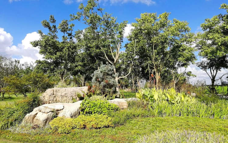 草坪 树林 慢行系统 体育空间,中心城区八大楔形之三林楔形绿地已有