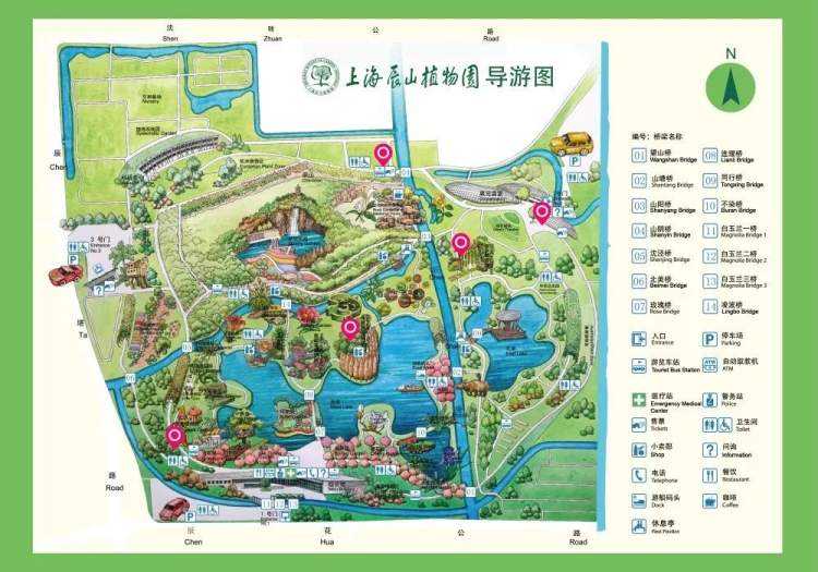 一起去看比蜜水还甜的桂花,沪上40多家公园寻香全攻略在此