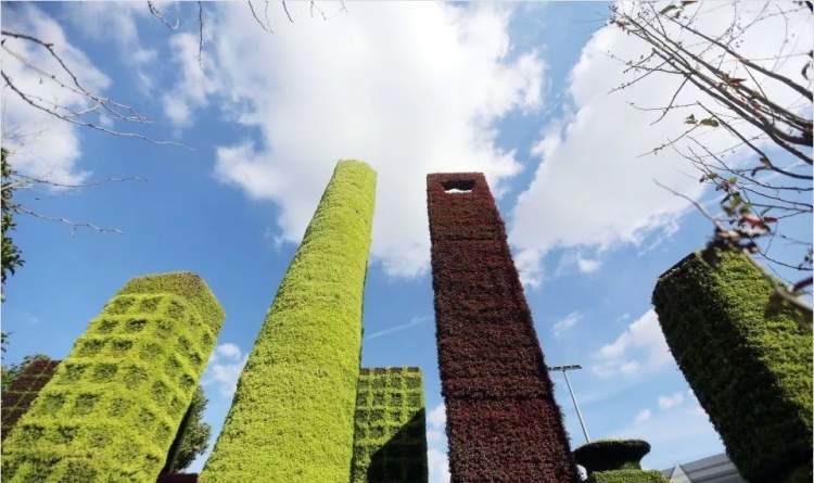 陆家嘴地标建筑现身国家会展中心周边,来看看这些最新制作的立体绿化