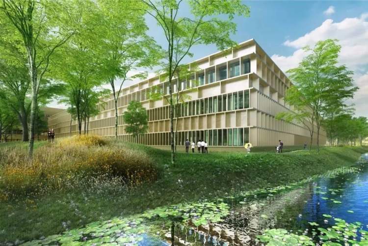 嘉定新建的这所"森林式医院"太赞了吧!