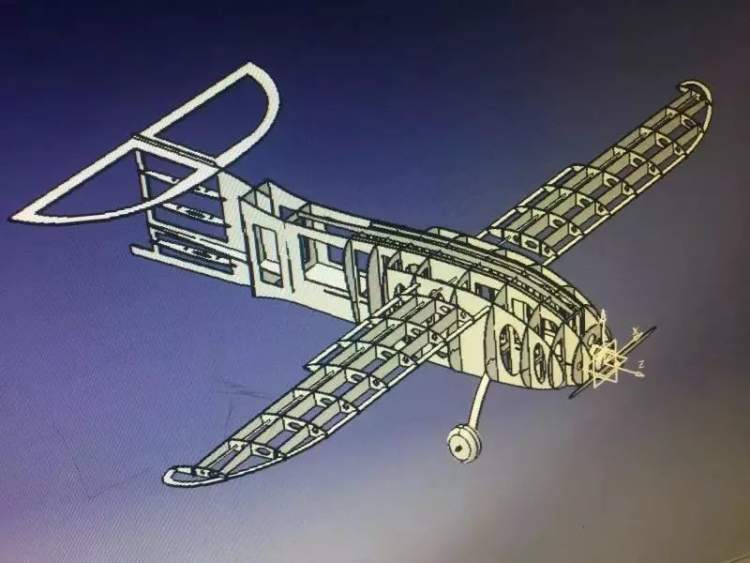 厉害了同济学子竟然复活了一只4000多年前的鸟