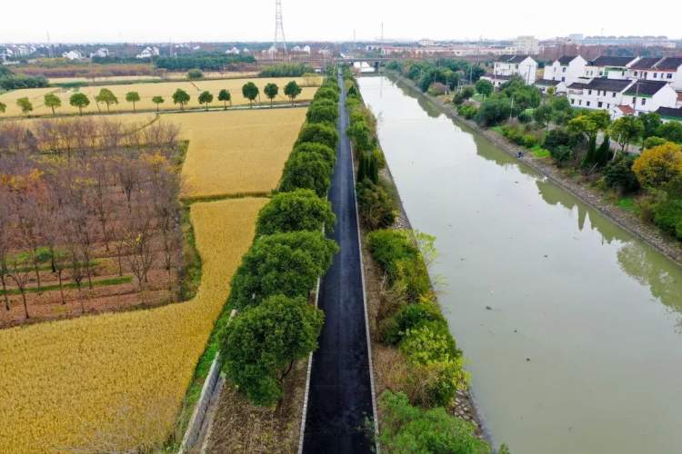 吕巷镇丨喜报:和平村列入2019年度上海市乡村振兴示范村建设计划