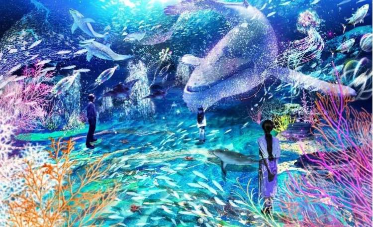 在423米高的天际看海是一种怎样的体验 垂直沉浸式艺术展登陆环球金融中心 周到上海 在423米高的天际看海是一种怎样的体验 垂直沉浸式艺术展登陆环球金融中心 周到上海