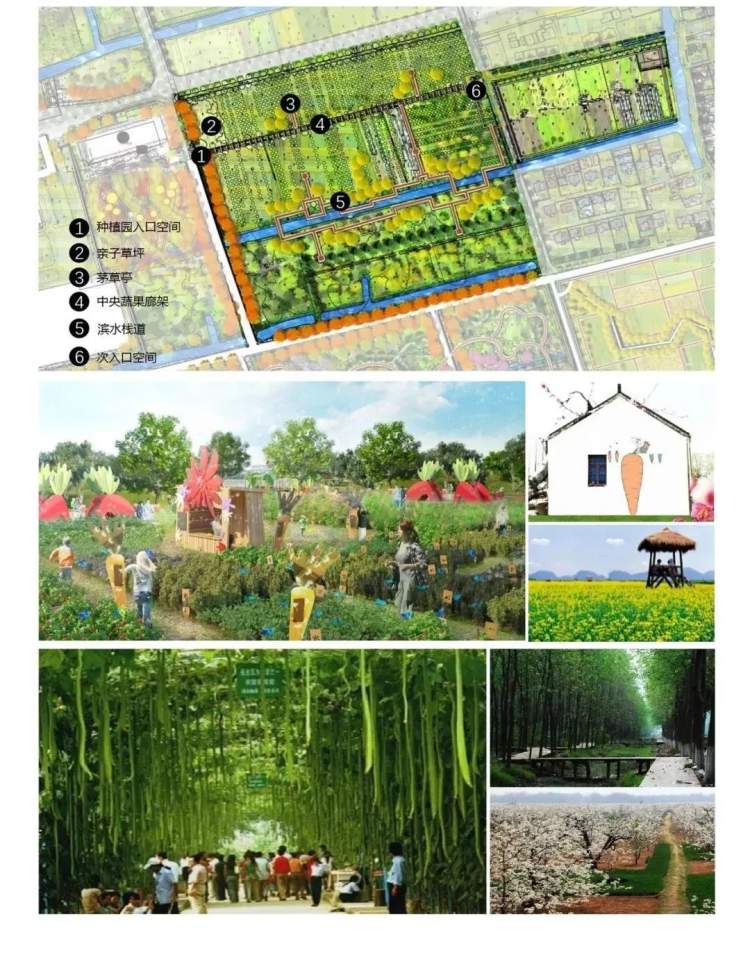 合庆郊野公园最新进展来了森林花海蜜园果林稻谷花香你中意哇