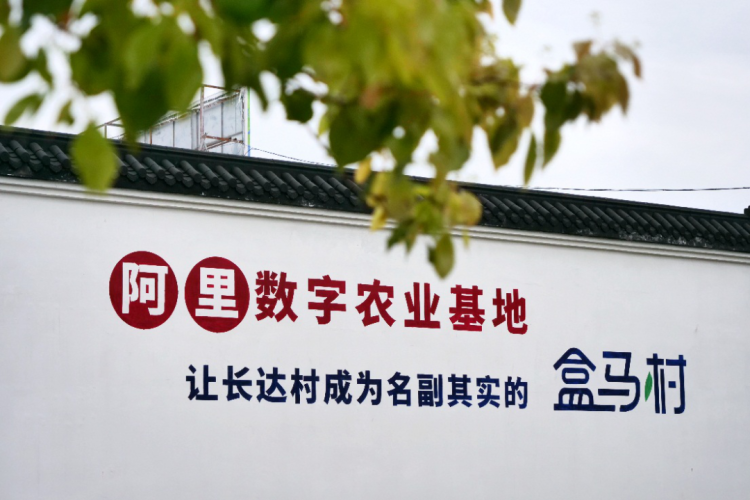 以盒马产业基地落户航头为契机,携手盒马打造长达村名副其实的盒马村