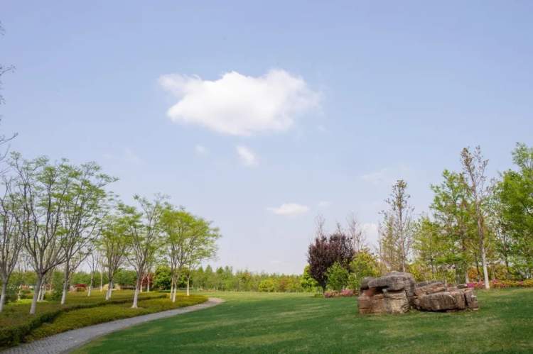 浦东这块楔形绿地设计成连绵不断的"山谷"