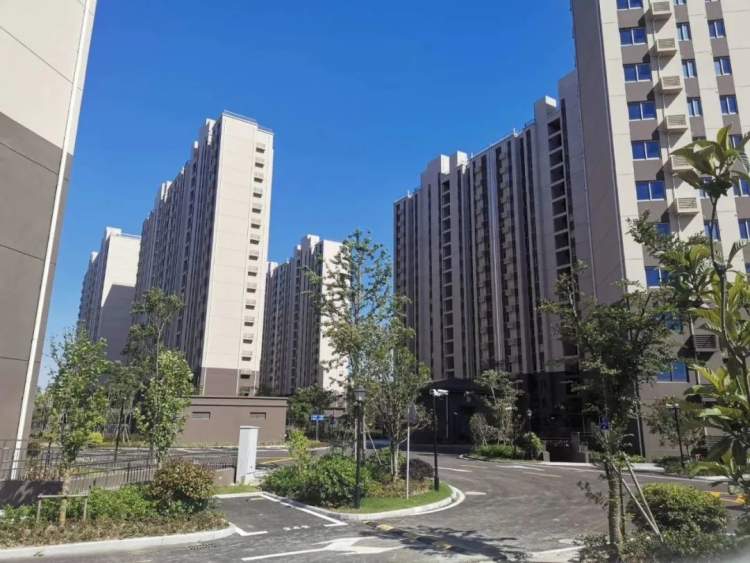 今年区旧改办分配中山街道房源490套,其中:南部大居(金欣雅苑)大套58