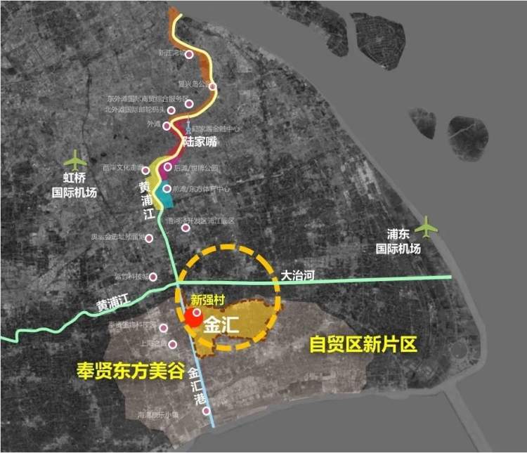 金汇镇丨振兴路,愈新强,打造上海乡村振兴"新强样板"