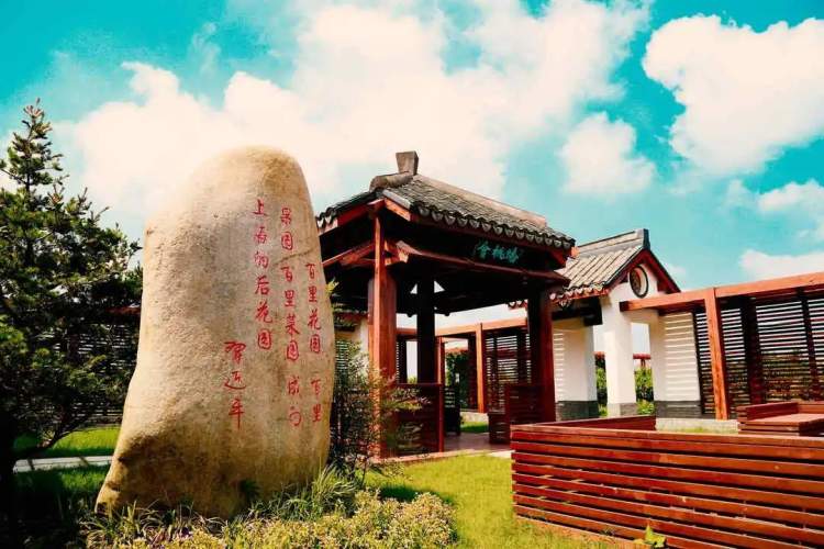 "最优质"牢牢抓住乡村振兴的主脉络,深入推进吕巷水果公园地带建设