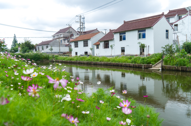 四团镇丨小村逆袭,让你惊艳的四团镇三坎村!