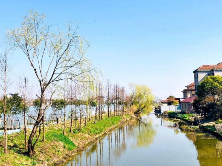 四团镇丨美景,美食不可辜负,这里有不一样的农趣