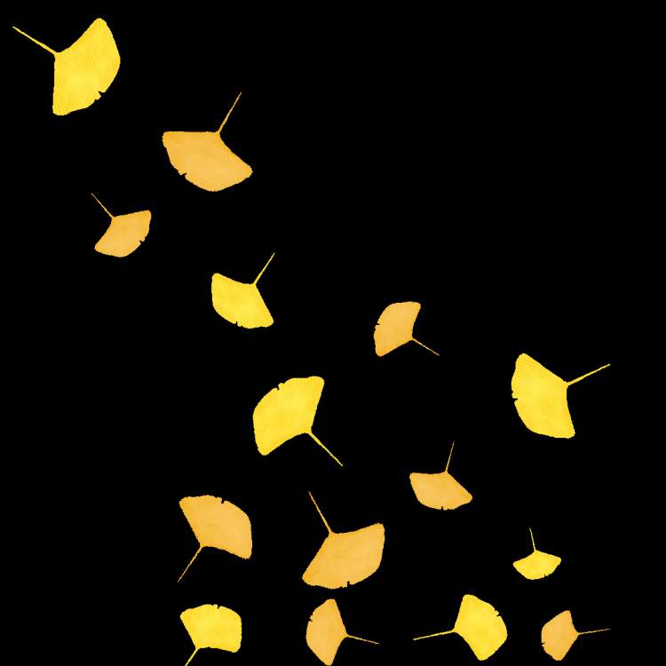 675_730gif 动态图 动图