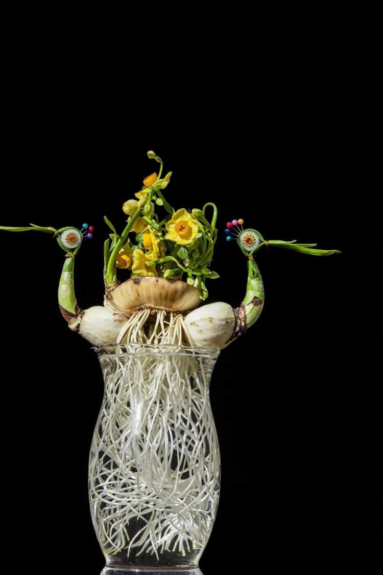 你绝对想不到,水仙花还能雕刻成这样!"四派"大师共青森林公园展绝技