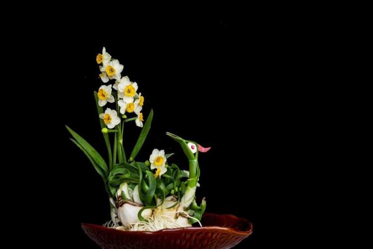 水仙生长,达到"根长,杆矮,叶绿,花繁"的效果,如《孔雀开屏》《山水多