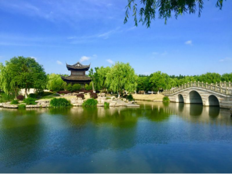 地址:书院镇临港大道3500弄1-29号