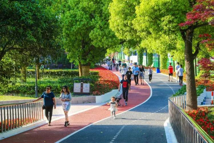 这里的"魔都最美健身步道",益智健身苑点,你打过卡吗