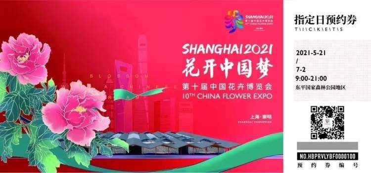 花博会门票细则来了 什么是平日和指定日 哪些人可以买优惠票 周到上海 花博会门票细则来了 什么是平日和指定日 哪些人可以买优惠票 周到上海