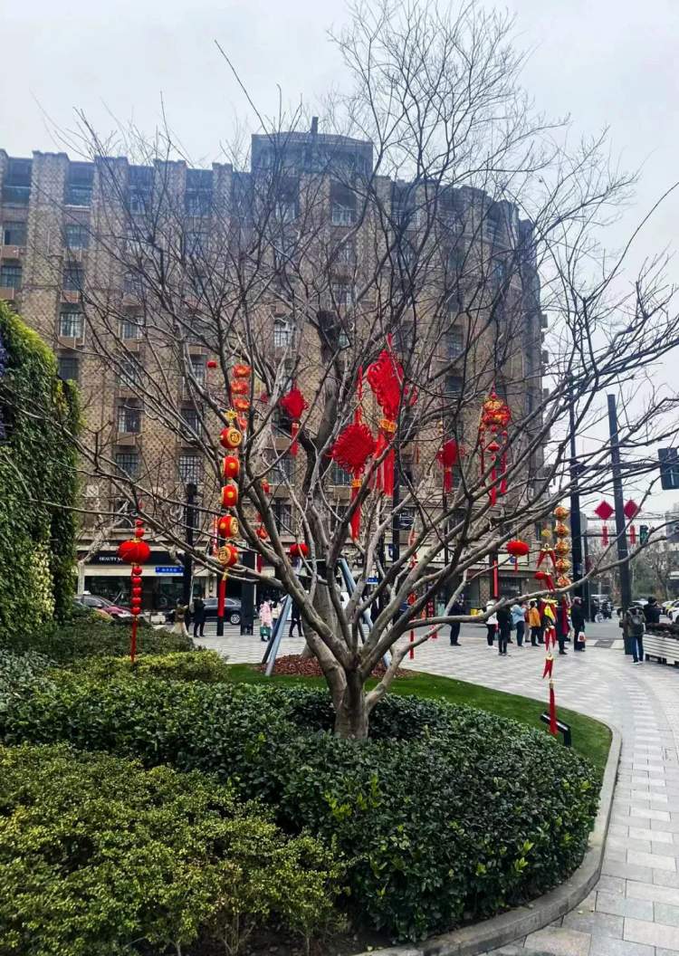 新闻晨报