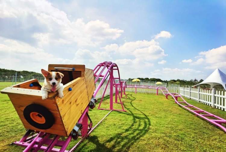 廊下郊野公园宠四季宠物主题公园