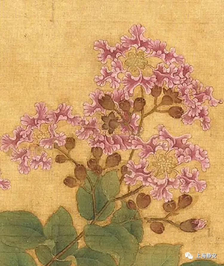 作有一首《紫薇花》:唐代诗人白居易做官后,这里的紫薇郎指的是"中书